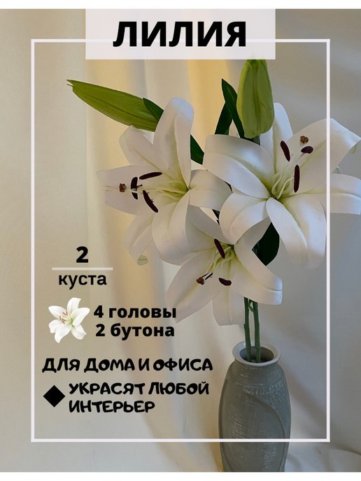 Идеи для разных помещений