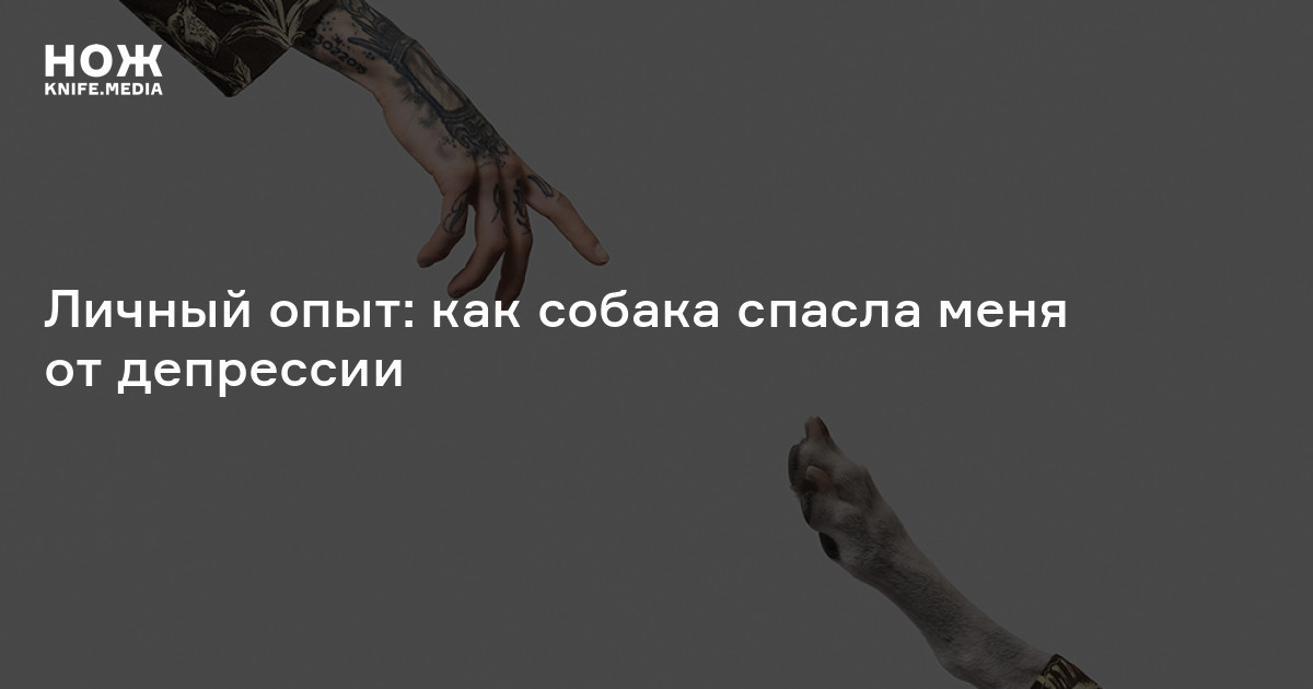 Как работает DryBOX