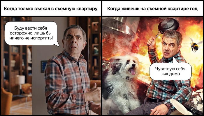 Уход за детьми и собакой