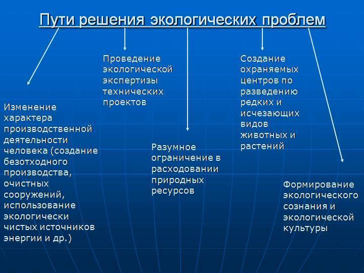 Проект недели: экомотивы в Ноябрьске — решение экологических проблем с помощью электроскутеров