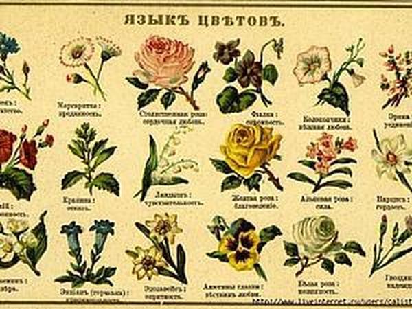 Сейчас читают
