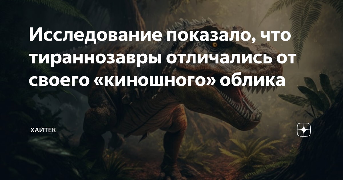 Первые разыскания