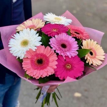 Правило 24: Правила полива герберов в условиях холода